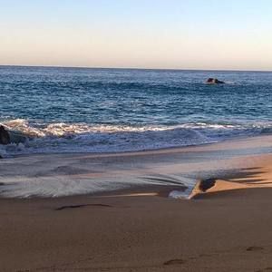 Meet your Posher, Jen